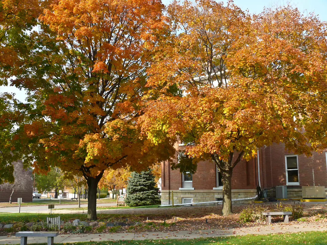 Fall_2008-014