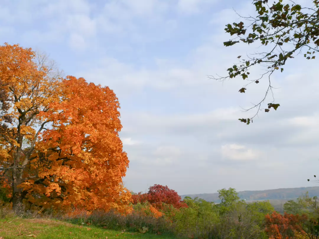 Fall_2008-016