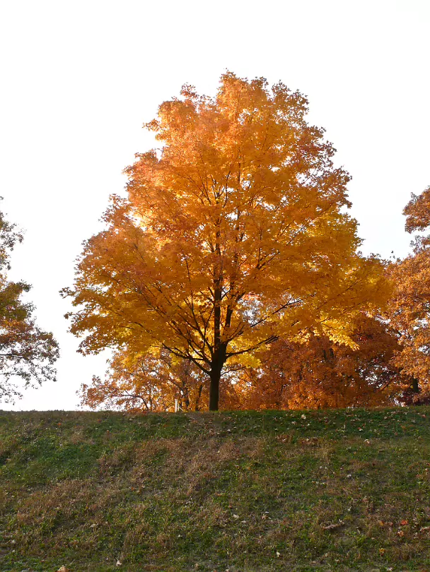 Fall_2008-017
