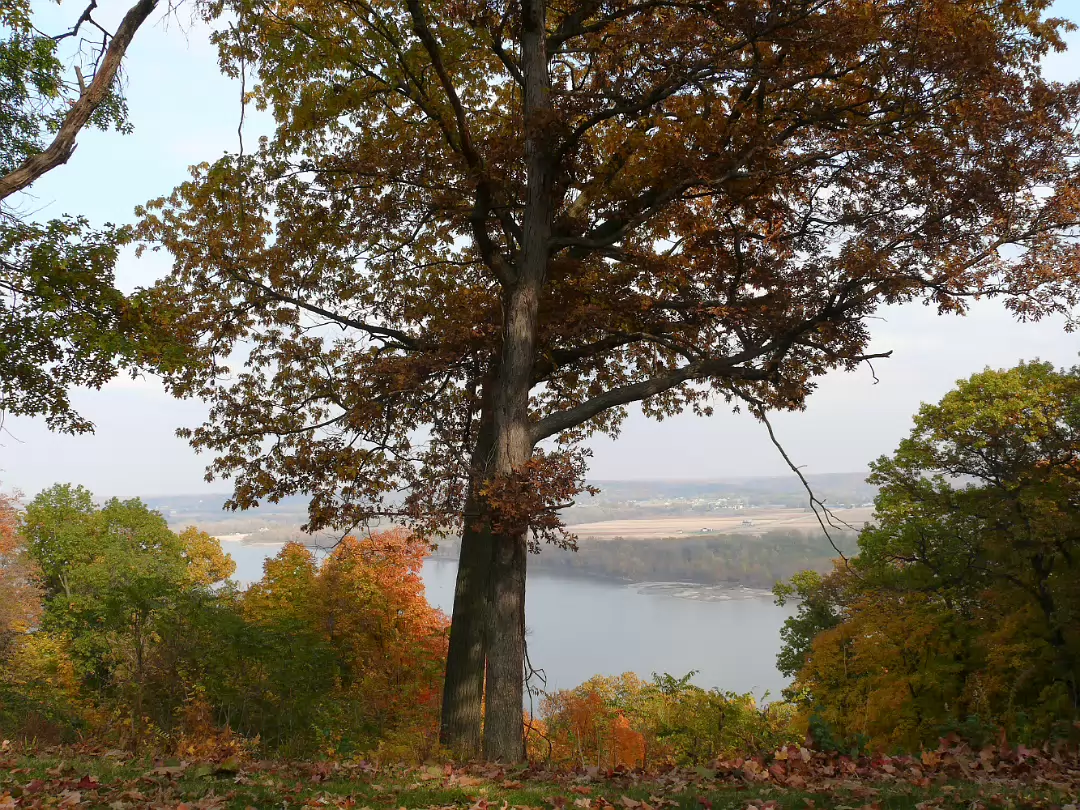Fall_2008-018