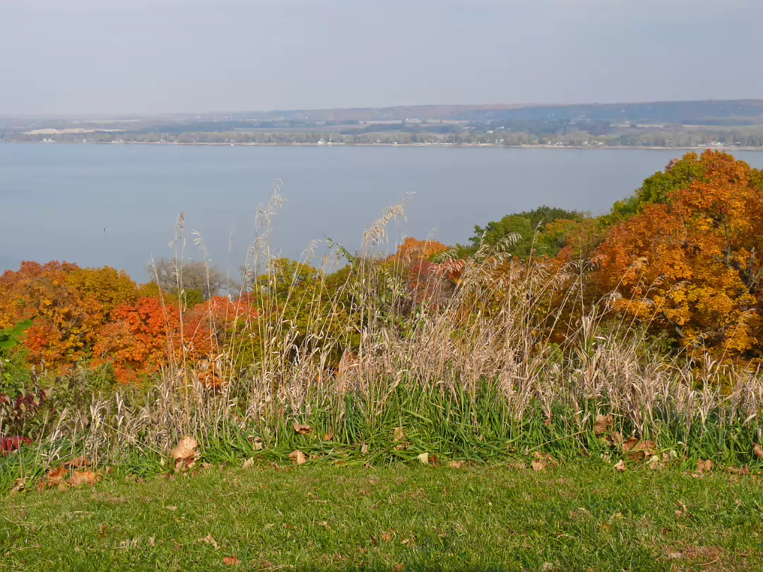 Fall_2008-022