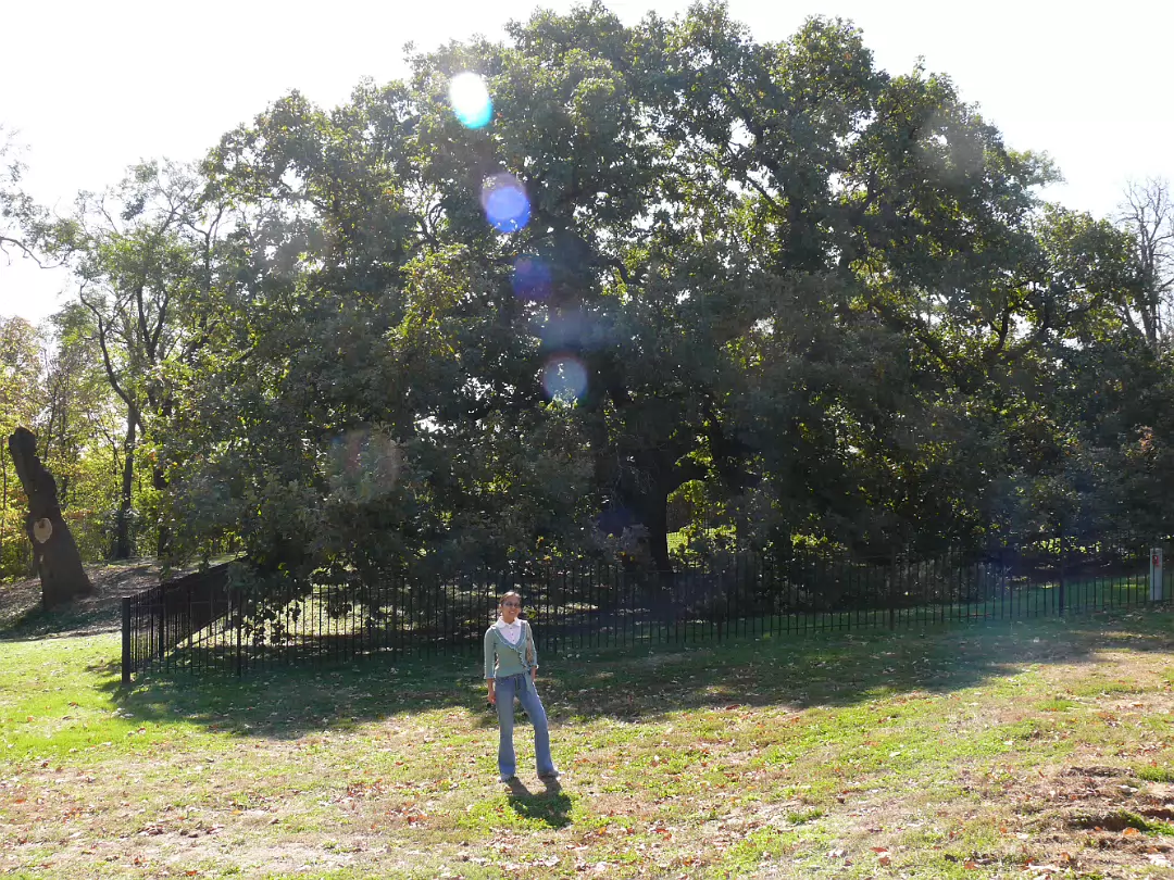 Fall_Color-003