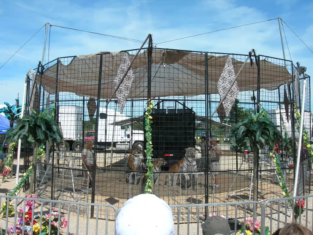 HOIFair_2007-013