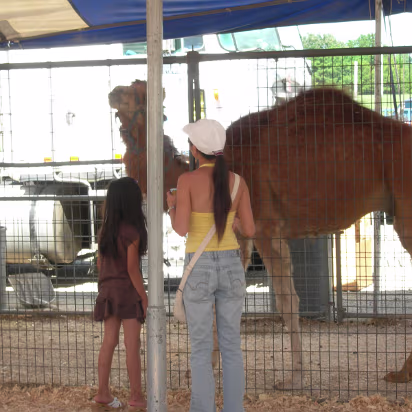 HOIFair_2007-017 Feeding a camel at the petting zoo.