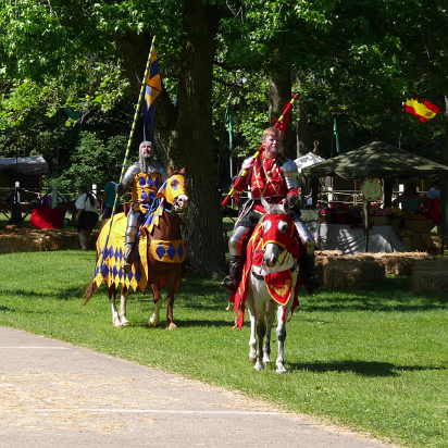 Olde_English_Faire-003 Colorful knights and their costumed steeds.