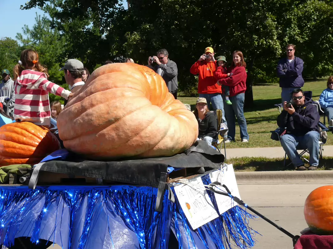 Pumpkin_Festival_2007-017