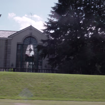 Random-009 It's peaking out now.