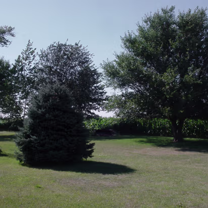 Random-019 Their yard looks like a park, don't you think?