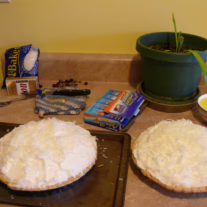 Thanksgiving_2007-012 Two pies ready for baking.