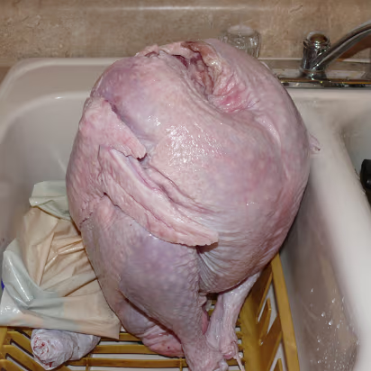 Thanksgiving_2007-015 The headless turkey takes a bow before being stuffed.