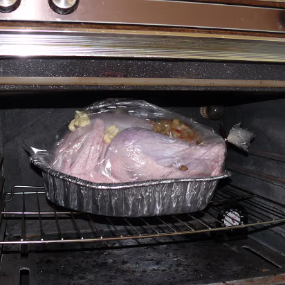 Thanksgiving_2007-020 This huge bird fills the oven and makes the rack bow down.