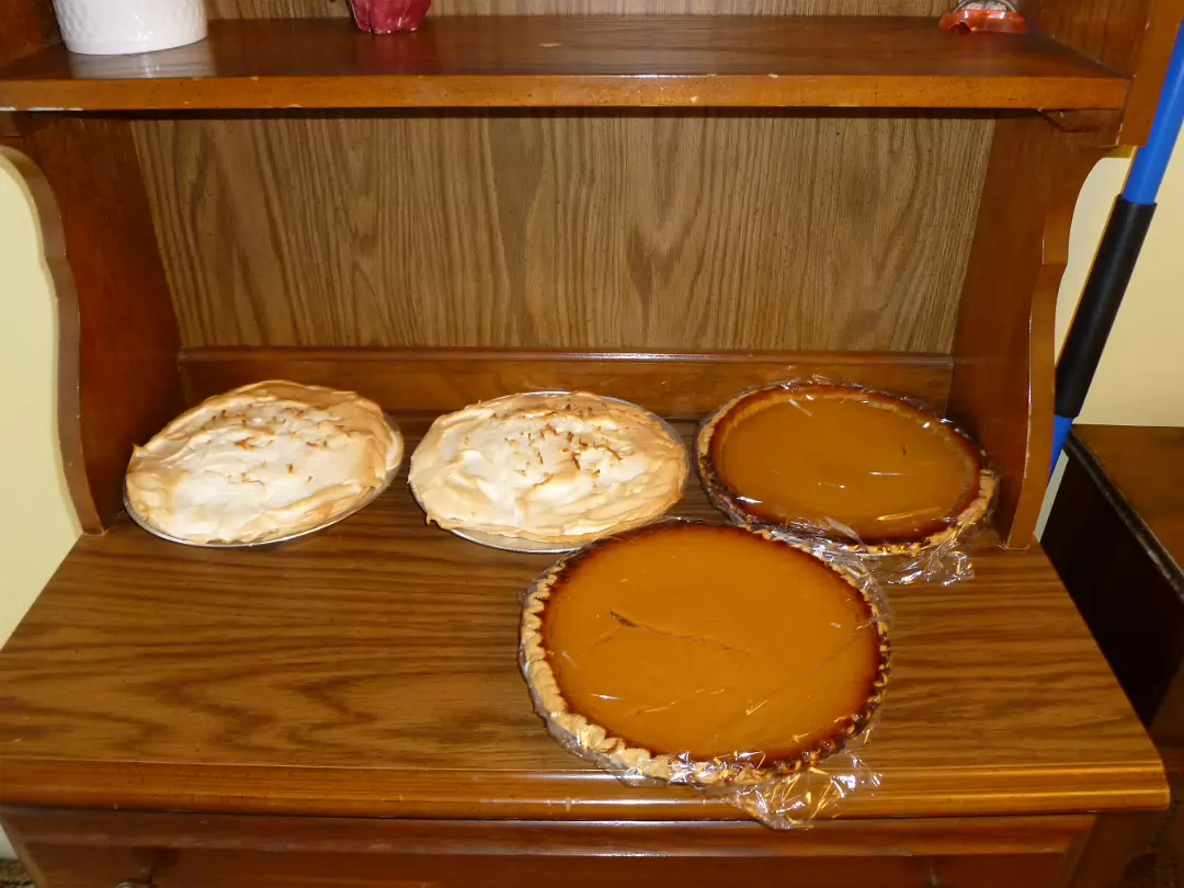 Thanksgiving_2010-002