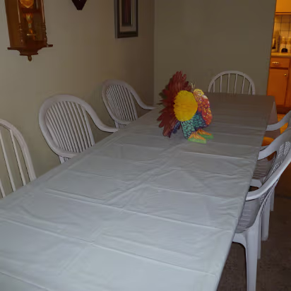 Thanksgiving_2010-004