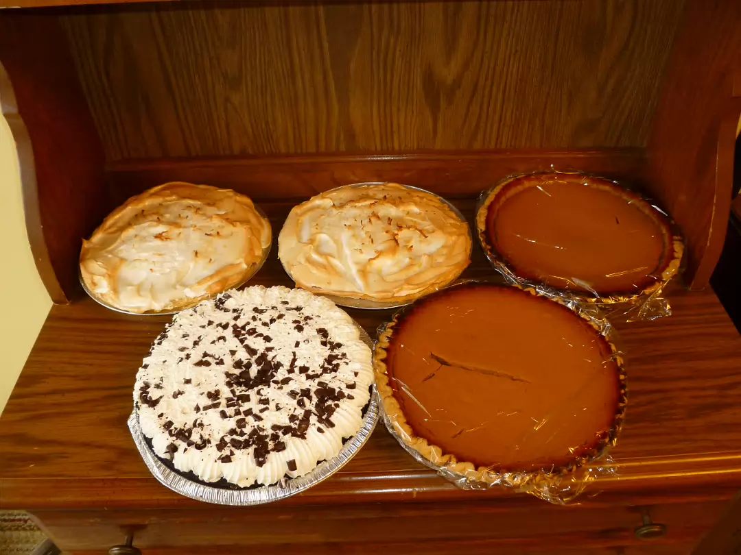 Thanksgiving_2010-005