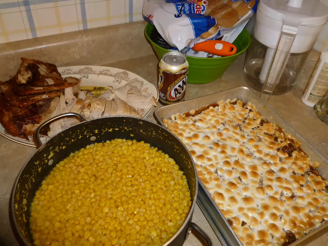 Thanksgiving_2010-009