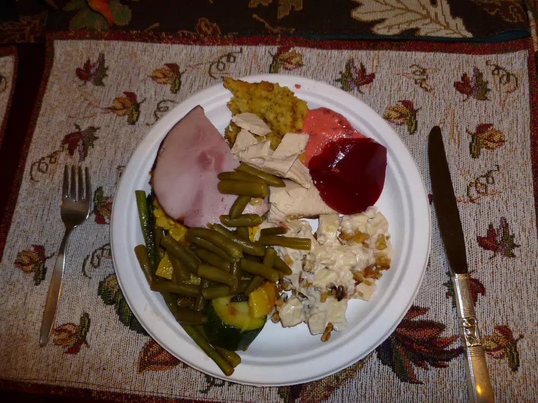 Thanksgiving_2010-014