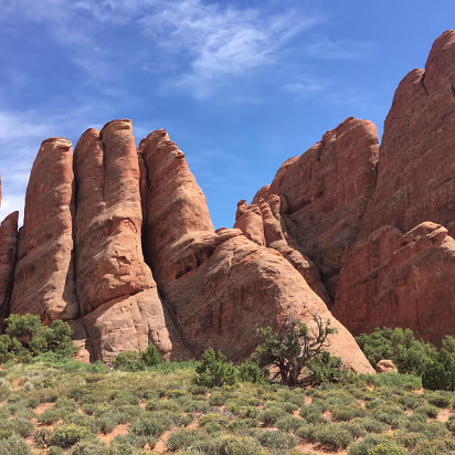 Arches_NP-015 One day these fins will be arches. For now, they are just pretty.