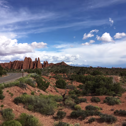 Arches_NP-061 This is 'Fins Forest'
