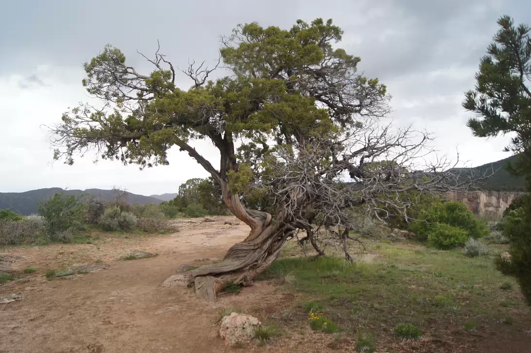 Black_Canyon_of_the_Gunnison_NP-056