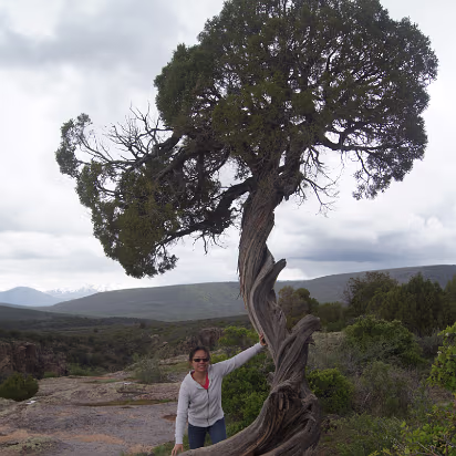 Black_Canyon_of_the_Gunnison_NP-061 Just made for picture taking. Hanhan, not the tree.
