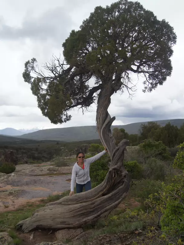 Black_Canyon_of_the_Gunnison_NP-061