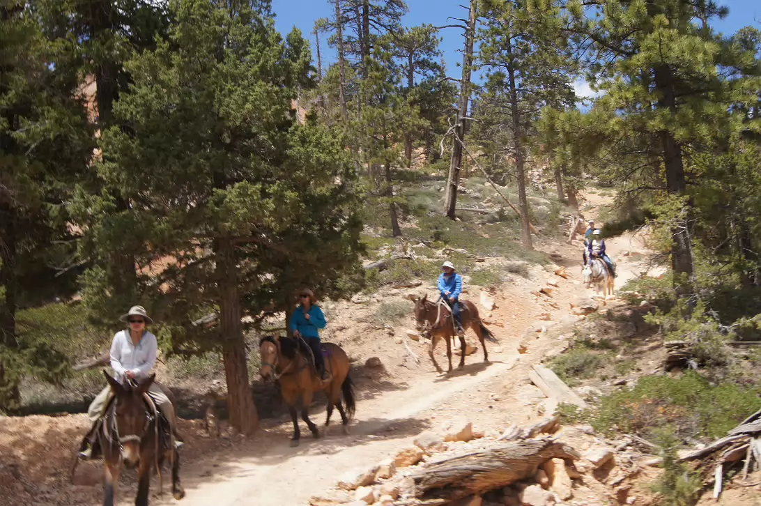 Bryce_Canyon_NP-109