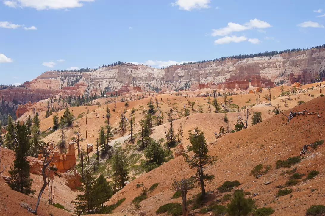 Bryce_Canyon_NP-118