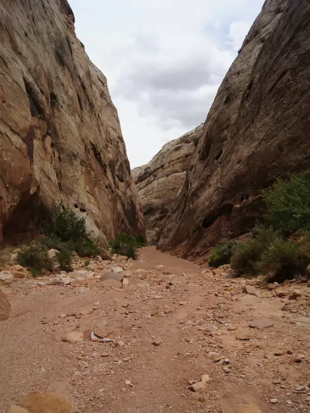 Capitol_Reef_NP-024