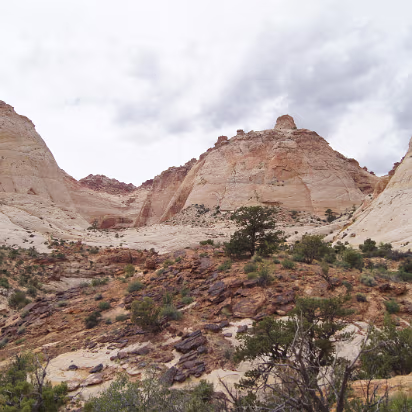 Capitol_Reef_NP-033 This is why it is Capitol Reef. These look like the Capitol dome. These are Navajo Sandstone, much harder than the red Entrada sandstone elsewhere.