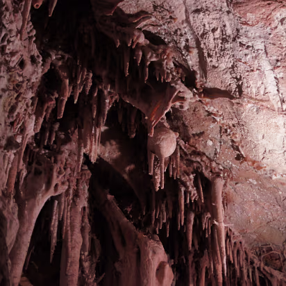 Great_Basin_NP-017 A cave turnip, a rare formation.