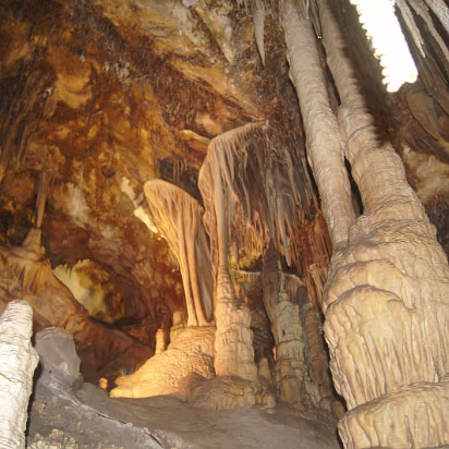 Great_Basin_NP-045 The parachutes.