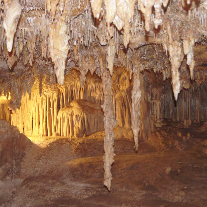 Great_Basin_NP-049 Looks like the set for a horror movie.
