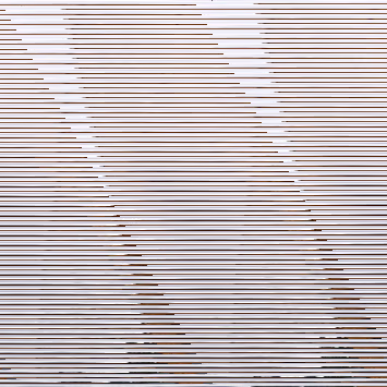 GSDNP-131 Taking it all in from the observation deck.