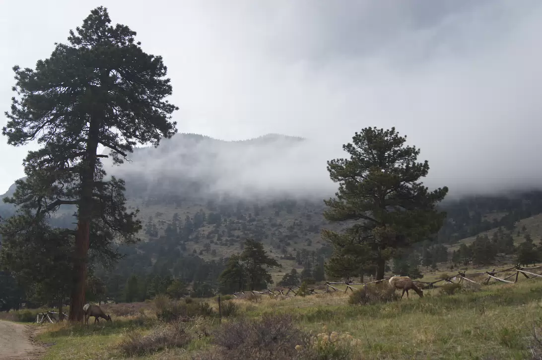 Rocky_Mountain_NP-014