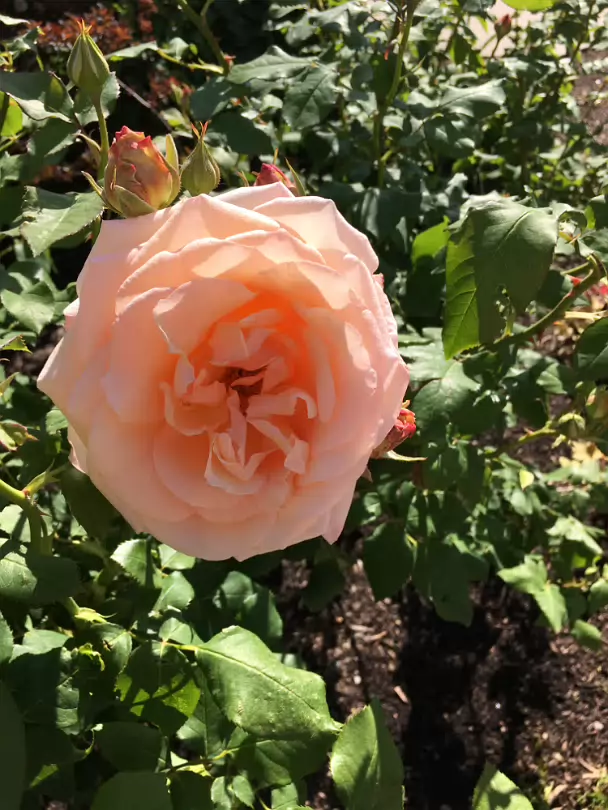 Salt_Lake_City_Area-036