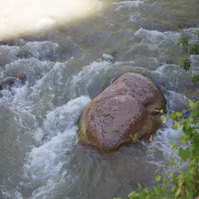 Zion_NP-023 A boulder.