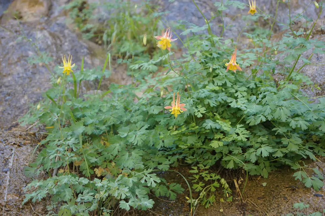 Zion_NP-024
