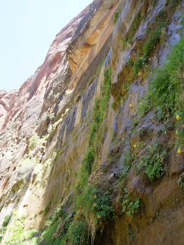 Zion_NP-025