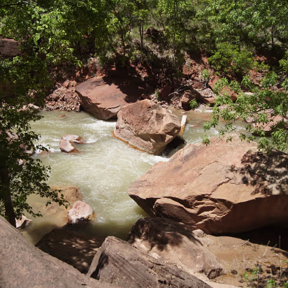 Zion_NP-032 Glad none of these came down while we were here.
