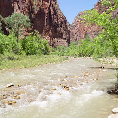 Zion_NP-039 This little river carved the canyon in the distance. Patience!