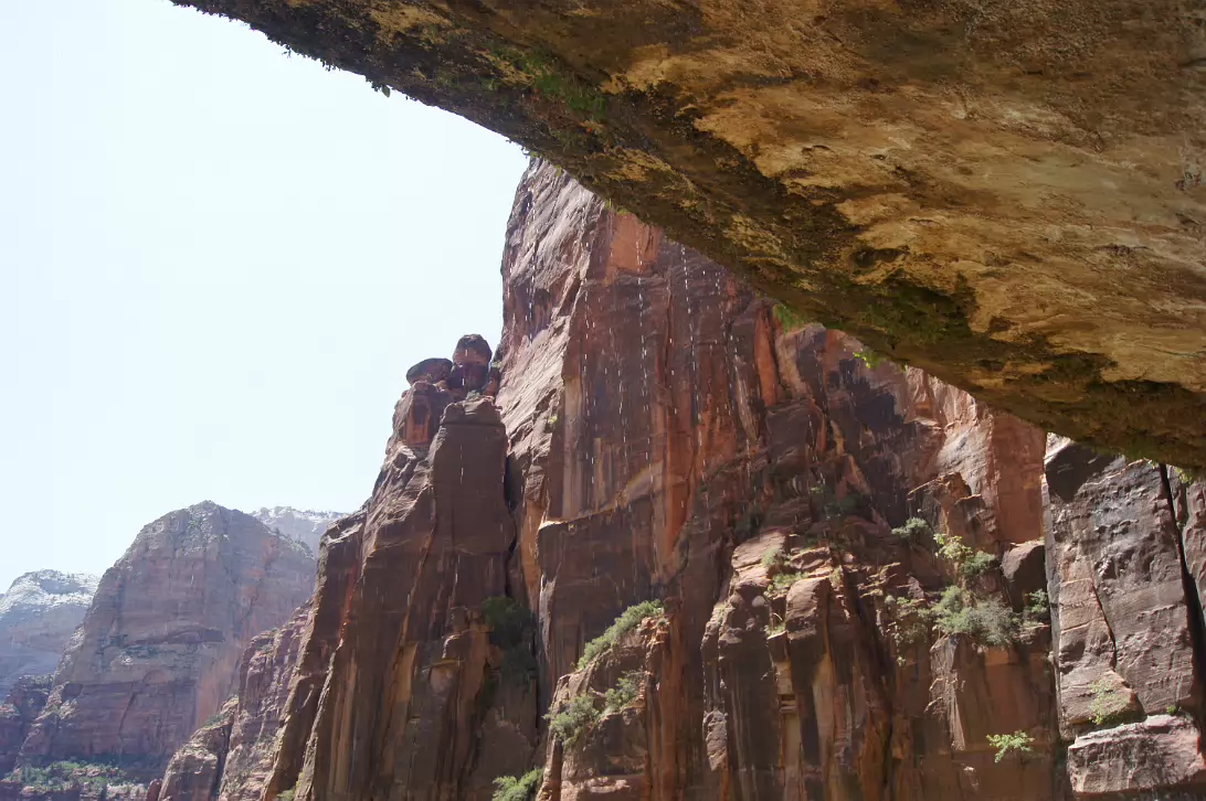 Zion_NP-045