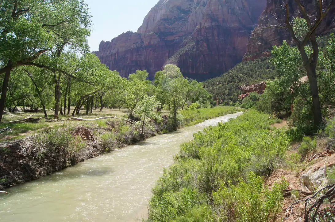 Zion_NP-053
