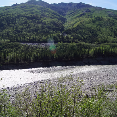 Alaska-030 These are still blow the timberline. Nice and green.