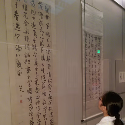 Christmas_2015_Trip-006 Pretending to appreciate Chinese art