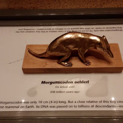 Christmas_2015_Trip-017 Your ancestor. Yes, you.