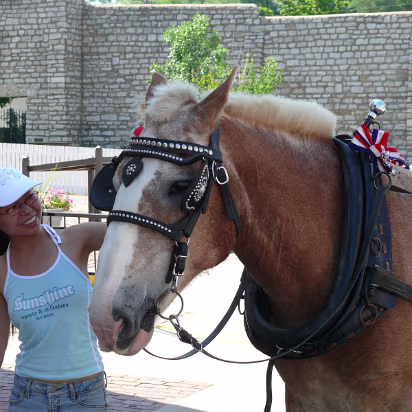 Hannibal-024 After feeding him, Hanhan makes friends with the horse.