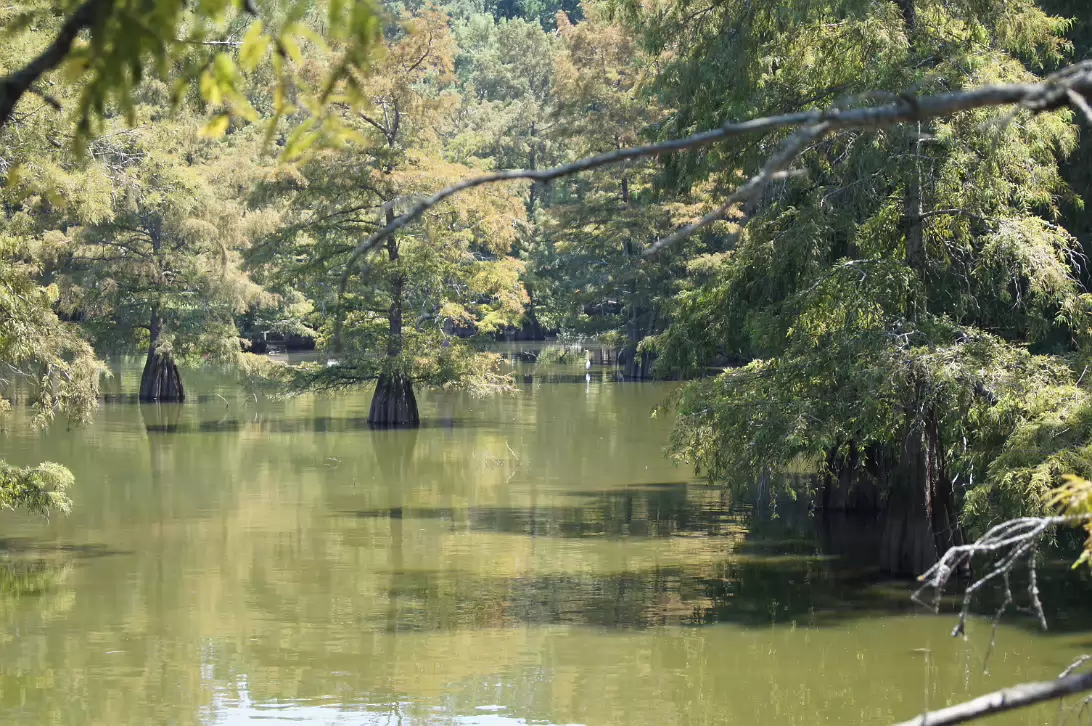 New_Orleans_Trip-053