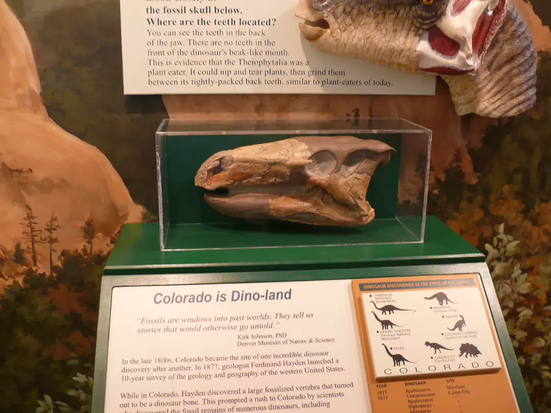 Colorado-025