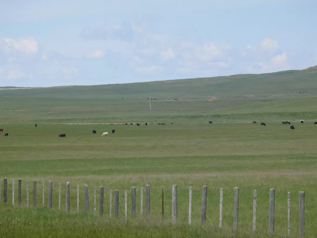 Custer-008