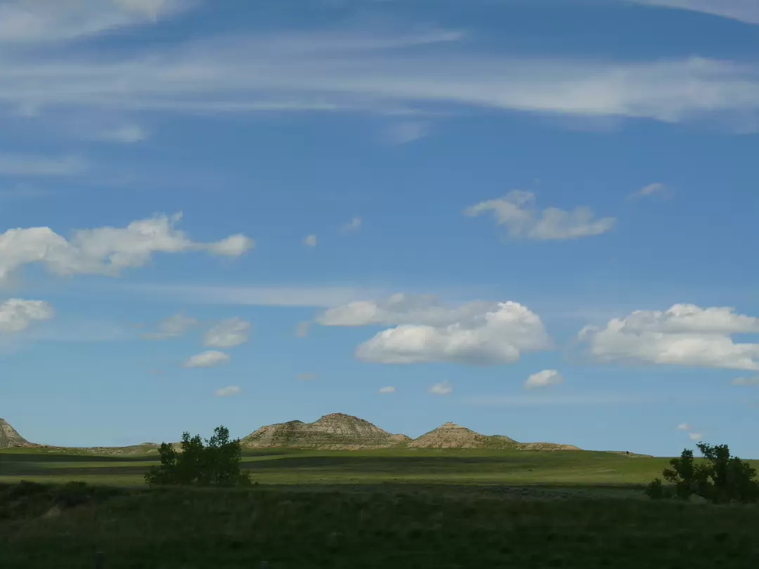 Custer-020